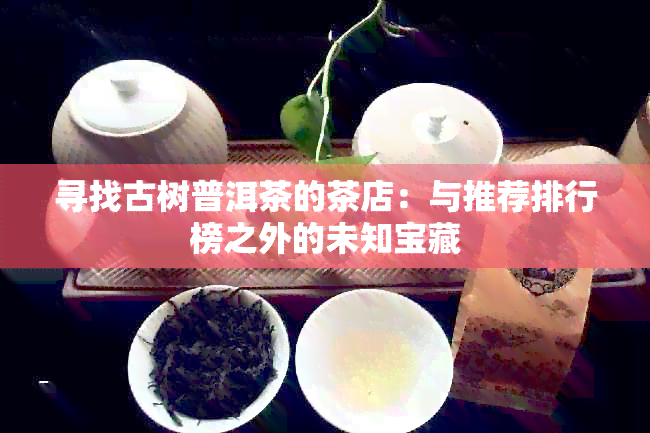 寻找古树普洱茶的茶店：与推荐排行榜之外的未知宝藏