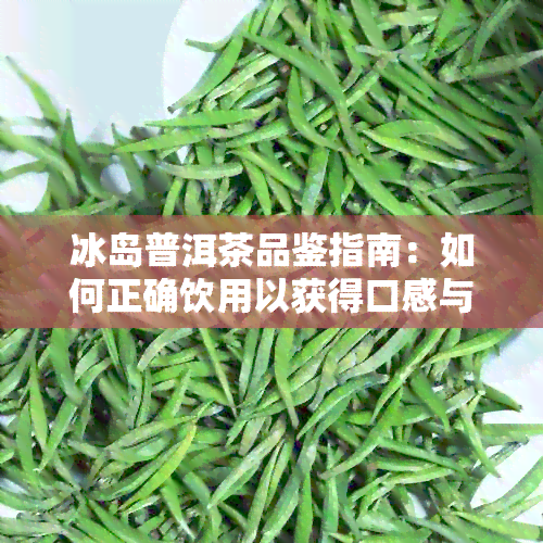 冰岛普洱茶品鉴指南：如何正确饮用以获得口感与香气？