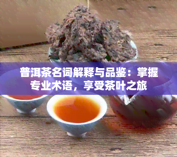 普洱茶名词解释与品鉴：掌握专业术语，享受茶叶之旅