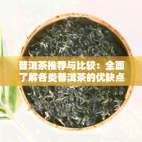 普洱茶推荐与比较：全面了解各类普洱茶的优缺点和购买指南