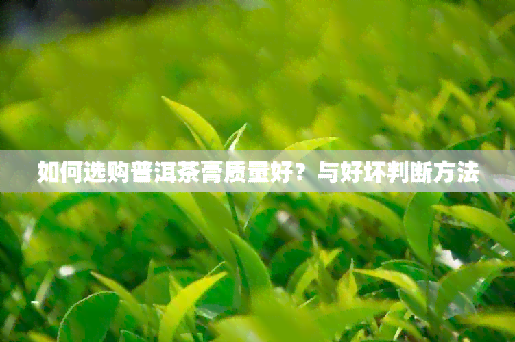 如何选购普洱茶膏质量好？与好坏判断方法