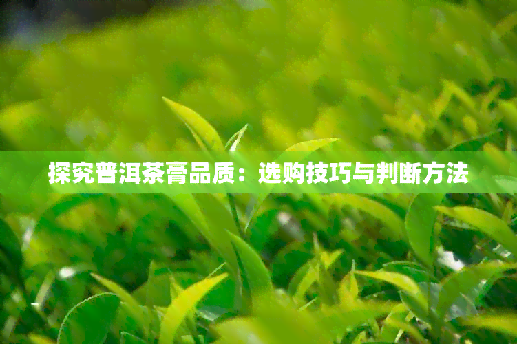 探究普洱茶膏品质：选购技巧与判断方法