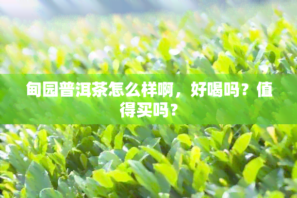 甸园普洱茶怎么样啊，好喝吗？值得买吗？