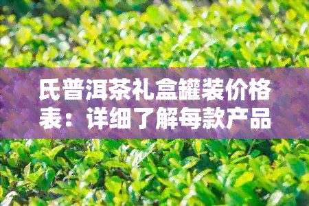 氏普洱茶礼盒罐装价格表：详细了解每款产品的价格