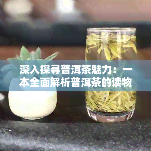 深入探寻普洱茶魅力：一本全面解析普洱茶的读物