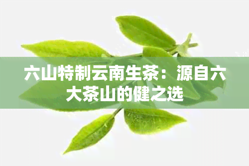 六山特制云南生茶：源自六大茶山的健之选