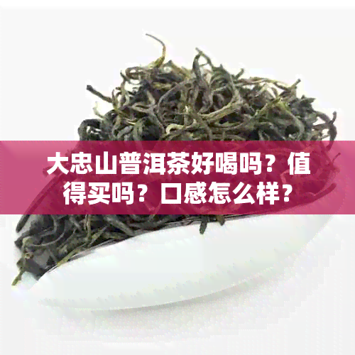 大忠山普洱茶好喝吗？值得买吗？口感怎么样？