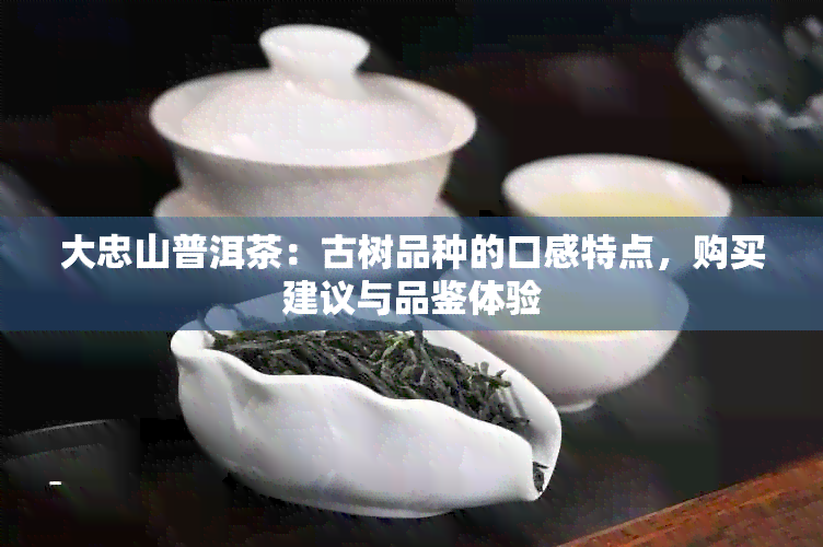 大忠山普洱茶：古树品种的口感特点，购买建议与品鉴体验