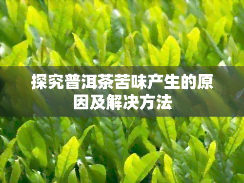 探究普洱茶苦味产生的原因及解决方法