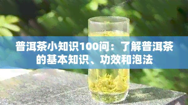 普洱茶小知识100问：了解普洱茶的基本知识、功效和泡法