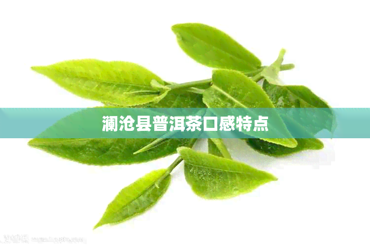 澜沧县普洱茶口感特点