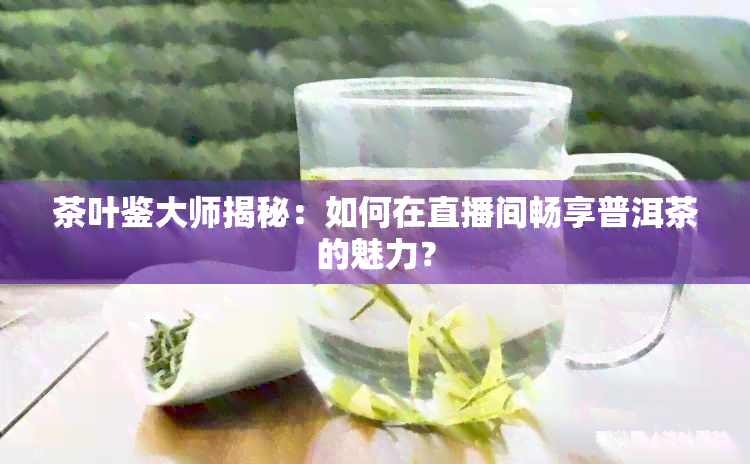 茶叶鉴大师揭秘：如何在直播间畅享普洱茶的魅力？