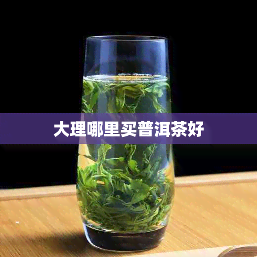 大理哪里买普洱茶好