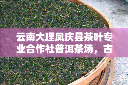 云南大理凤庆县茶叶专业合作社普洱茶场，古树茶饼产地报价及购买地点