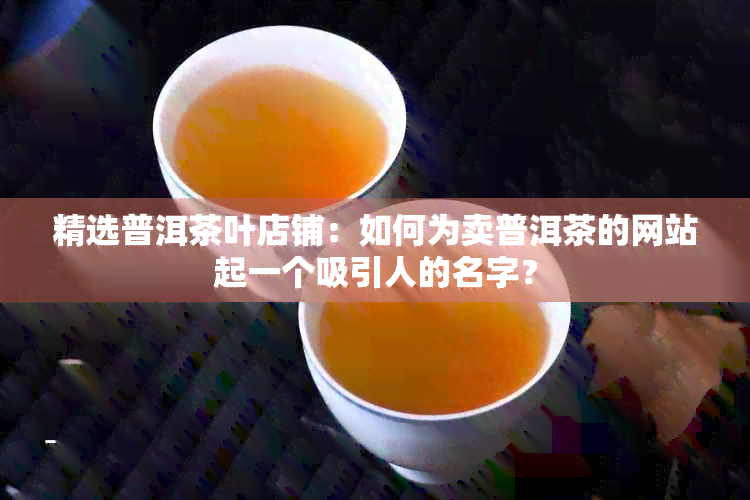 精选普洱茶叶店铺：如何为卖普洱茶的网站起一个吸引人的名字？