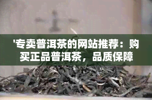 '专卖普洱茶的网站推荐：购买正品普洱茶，品质保障，快来选购！'