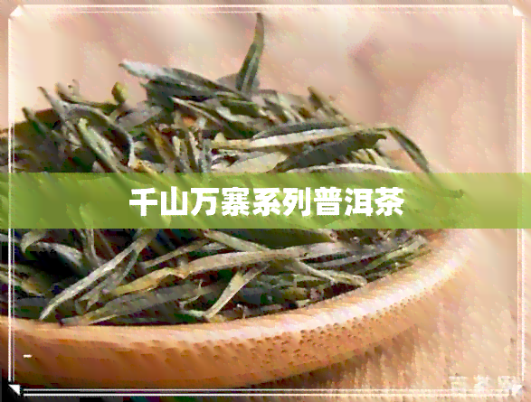 千山万寨系列普洱茶