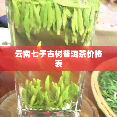 云南七子古树普洱茶价格表