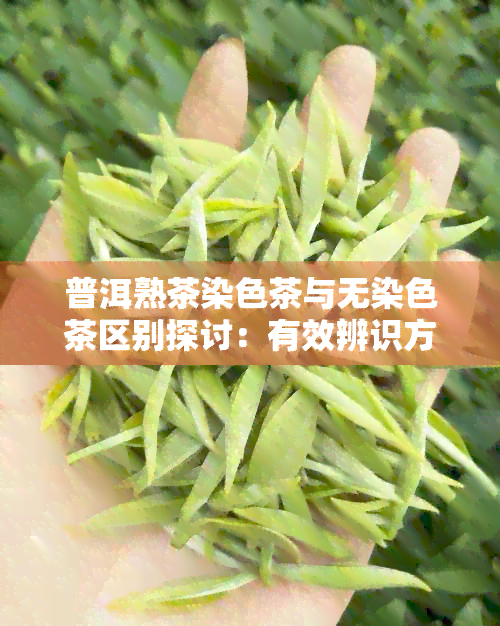 普洱熟茶染色茶与无染色茶区别探讨：有效辨识方法解析