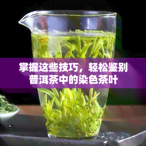 掌握这些技巧，轻松鉴别普洱茶中的染色茶叶