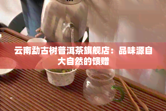 云南勐古树普洱茶旗舰店：品味源自大自然的馈赠