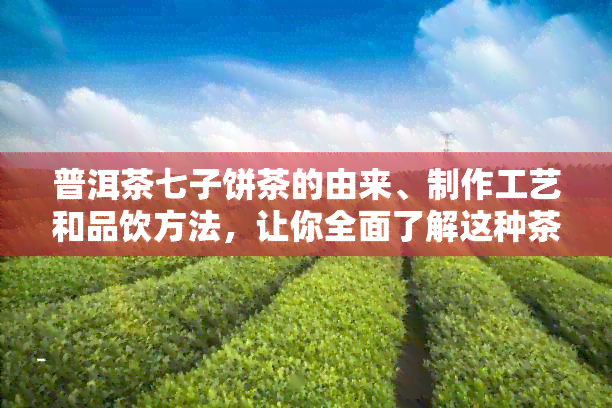 普洱茶七子饼茶的由来、制作工艺和品饮方法，让你全面了解这种茶叶