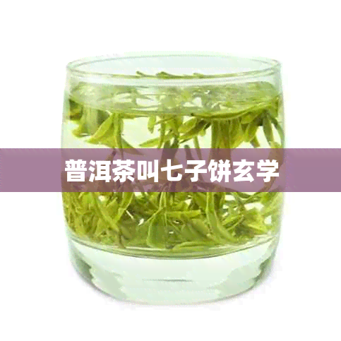 普洱茶叫七子饼玄学