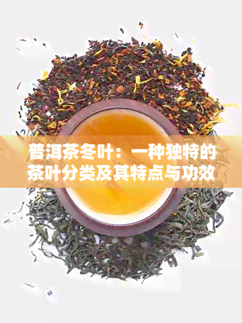 普洱茶冬叶：一种独特的茶叶分类及其特点与功效