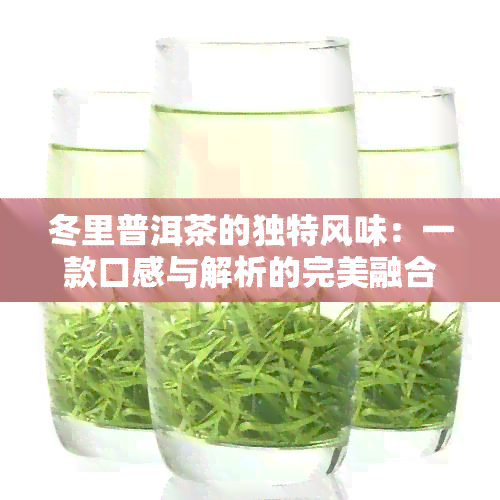 冬里普洱茶的独特风味：一款口感与解析的完美融合