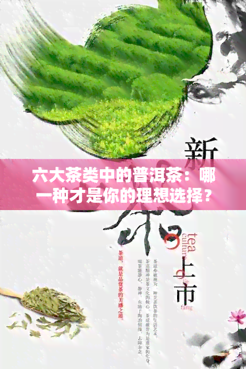 六大茶类中的普洱茶：哪一种才是你的理想选择？