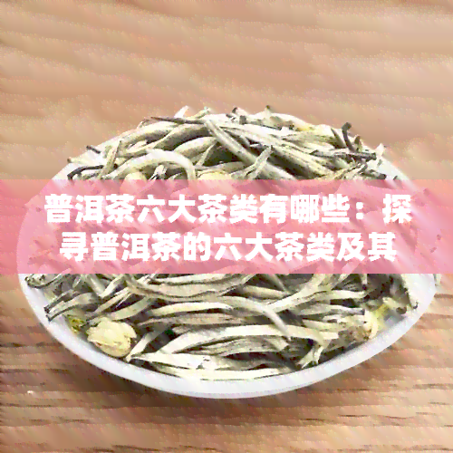 普洱茶六大茶类有哪些：探寻普洱茶的六大茶类及其特点