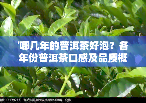 '哪几年的普洱茶好泡？各年份普洱茶口感及品质概述'