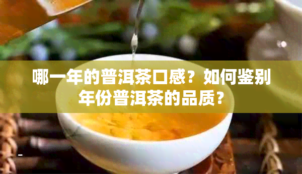 哪一年的普洱茶口感？如何鉴别年份普洱茶的品质？