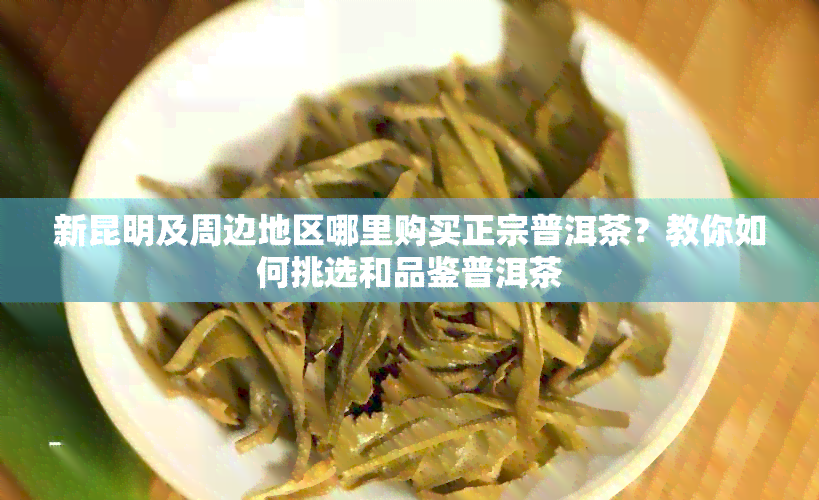 新昆明及周边地区哪里购买正宗普洱茶？教你如何挑选和品鉴普洱茶