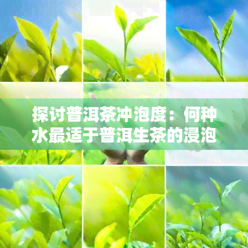 探讨普洱茶冲泡度：何种水最适于普洱生茶的浸泡？