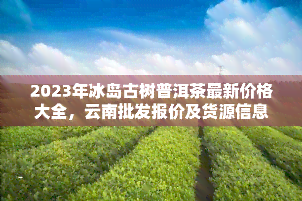 2023年冰岛古树普洱茶最新价格大全，云南批发报价及货源信息