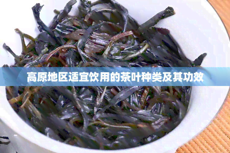 高原地区适宜饮用的茶叶种类及其功效