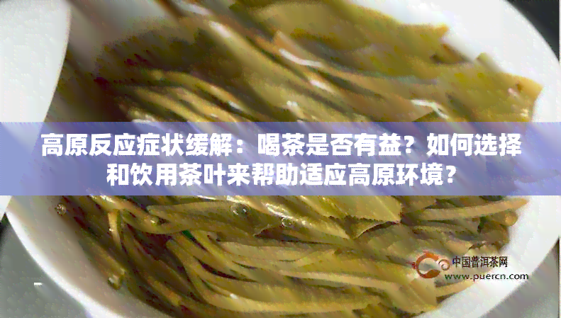 高原反应症状缓解：喝茶是否有益？如何选择和饮用茶叶来帮助适应高原环境？