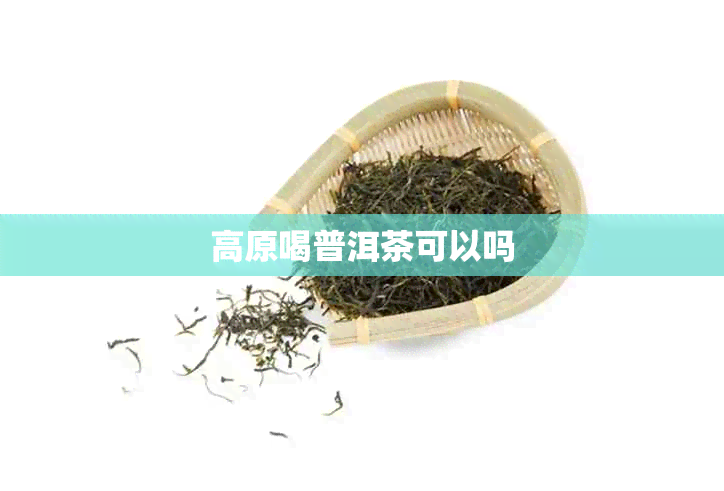 高原喝普洱茶可以吗