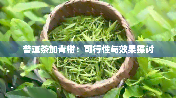 普洱茶加青柑：可行性与效果探讨