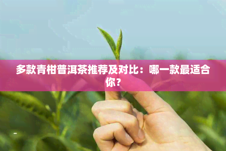 多款青柑普洱茶推荐及对比：哪一款最适合你？