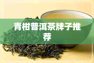 青柑普洱茶牌子推荐