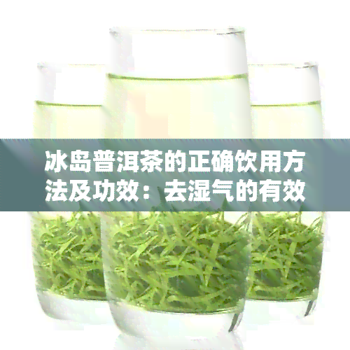 冰岛普洱茶的正确饮用方法及功效：去湿气的有效饮品怎么喝？