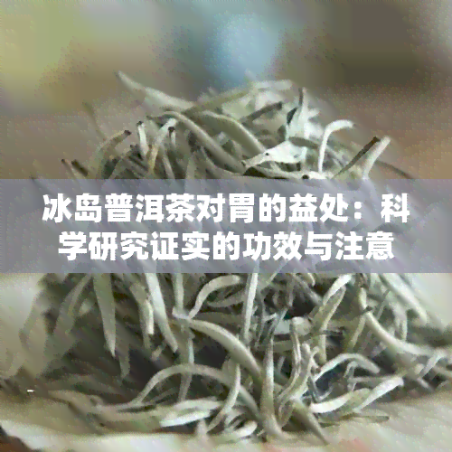 冰岛普洱茶对胃的益处：科学研究证实的功效与注意事项