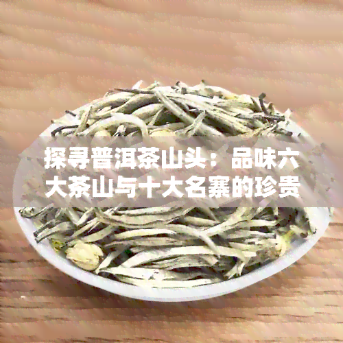 探寻普洱茶山头：品味六大茶山与十大名寨的珍贵茶叶