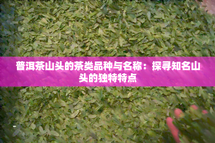 普洱茶山头的茶类品种与名称：探寻知名山头的独特特点