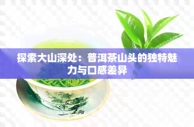 探索大山深处：普洱茶山头的独特魅力与口感差异