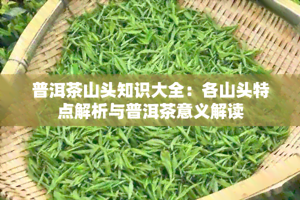 普洱茶山头知识大全：各山头特点解析与普洱茶意义解读