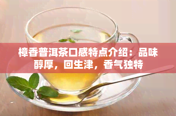 樟香普洱茶口感特点介绍：品味醇厚，回生津，香气独特