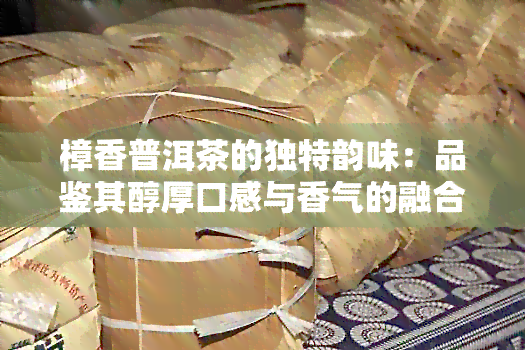 樟香普洱茶的独特韵味：品鉴其醇厚口感与香气的融合之道